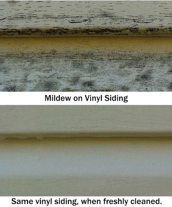 clean mold from vinyl siding